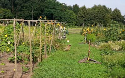 De bloemen-, kruiden- en moestuin